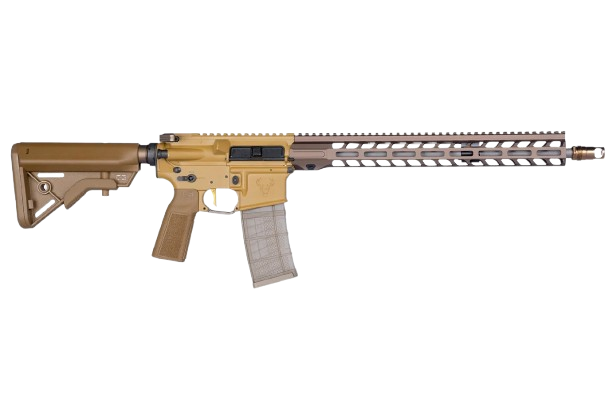 Custom AR-15